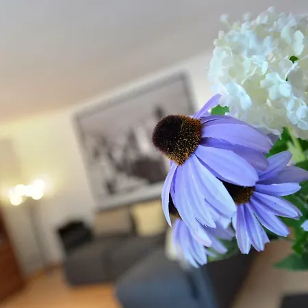 아파트 Haus Daniela Superior 코헴